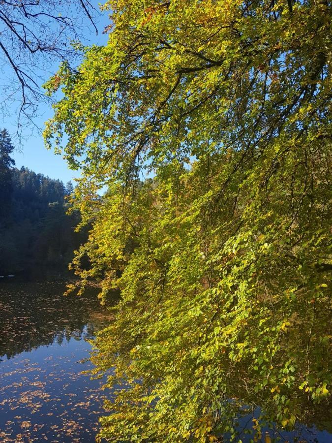 Ferienwohnung In Dem Schonen Kurort Bad Durkheim Exteriör bild